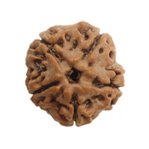 Rudraksha Mala Spirit