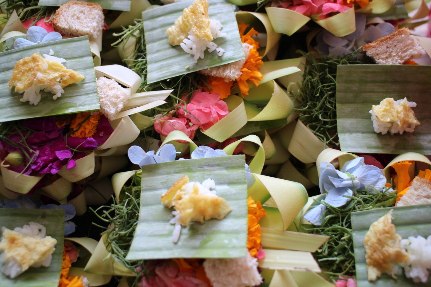 How to take care of a mala 14 Offerings of flowers and rice at the ceremony in Bali
